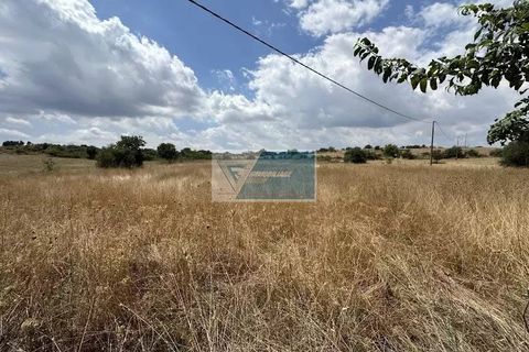 Helårsgrund i Noto, Siracusa, Noto - € 30.000 | Ref: NT TCAM 30 - foto 6