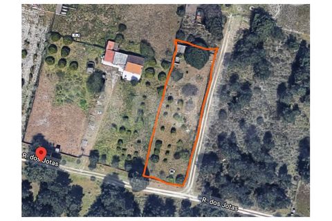 Helårsgrund i Quinta do Anjo, Setubal, Quinta do Anjo - € 70.000 | Ref: UNU.I.1357.18585 - foto 1