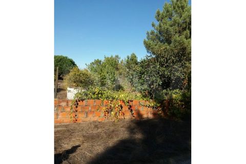 Helårsgrund i Quinta do Anjo, Setubal, Quinta do Anjo - € 70.000 | Ref: UNU.I.1357.18585 - foto 5