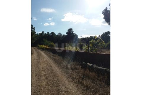 Helårsgrund i Quinta do Anjo, Setubal, Quinta do Anjo - € 70.000 | Ref: UNU.I.1357.18585 - foto 6