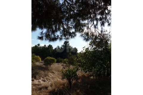 Helårsgrund i Quinta do Anjo, Setubal, Quinta do Anjo - € 70.000 | Ref: UNU.I.1357.18585 - foto 7
