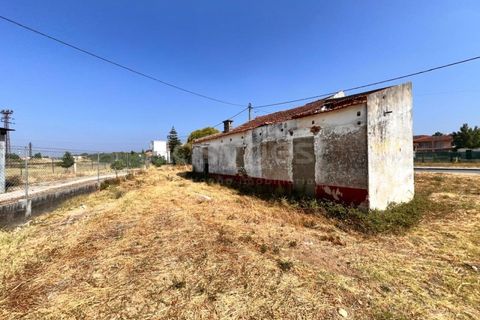 Villa i Entroncamento, Santarem, Entroncamento - € 82.000 | Ref: TM97777 - foto 4