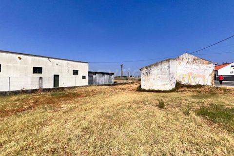 Villa i Entroncamento, Santarem, Entroncamento - € 82.000 | Ref: TM97777 - foto 9