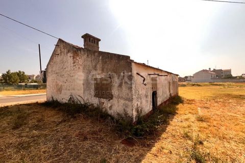 Villa i Entroncamento, Santarem, Entroncamento - € 82.000 | Ref: TM97777 - foto 10