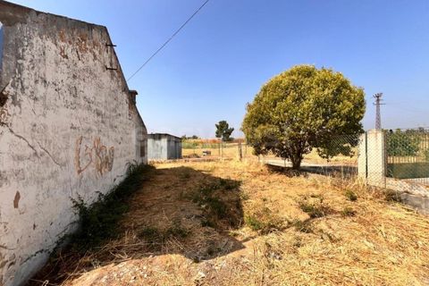 Villa i Entroncamento, Santarem, Entroncamento - € 82.000 | Ref: TM97777 - foto 11