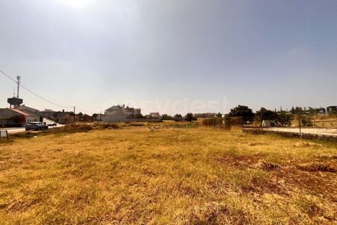 Villa i Entroncamento, Santarem, Entroncamento - € 82.000 | Ref: TM97777 - foto 13