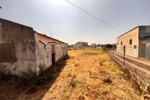 Villa i Entroncamento, Santarem, Entroncamento - € 82.000 | Ref: TM97777 - foto 14