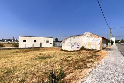 Villa i Entroncamento, Santarem, Entroncamento - € 82.000 | Ref: TM97777 - foto 15