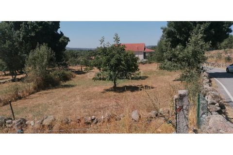 Helårsgrund i Guarda, Guarda, Guarda - € 20.000 | Ref: GD97788FM - foto 4