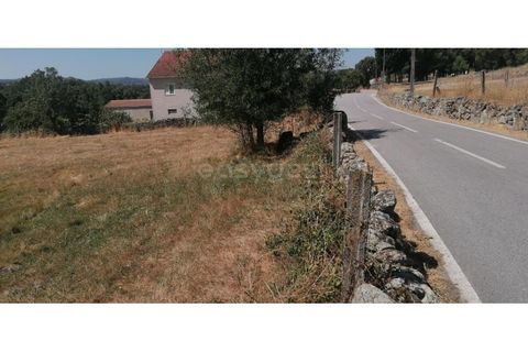 Helårsgrund i Guarda, Guarda, Guarda - € 20.000 | Ref: GD97788FM - foto 5