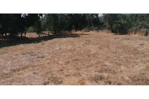 Helårsgrund i Guarda, Guarda, Guarda - € 20.000 | Ref: GD97788FM - foto 6