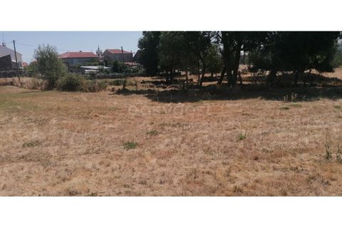 Helårsgrund i Guarda, Guarda, Guarda - € 20.000 | Ref: GD97788FM - foto 7