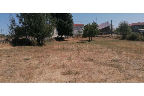 Helårsgrund i Guarda, Guarda, Guarda - € 20.000 | Ref: GD97788FM - foto 8