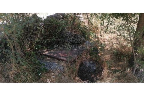 Helårsgrund i Guarda, Guarda, Guarda - € 20.000 | Ref: GD97788FM - foto 10