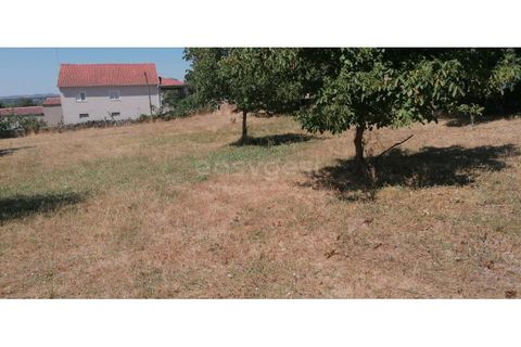Helårsgrund i Guarda, Guarda, Guarda - € 20.000 | Ref: GD97788FM - foto 11