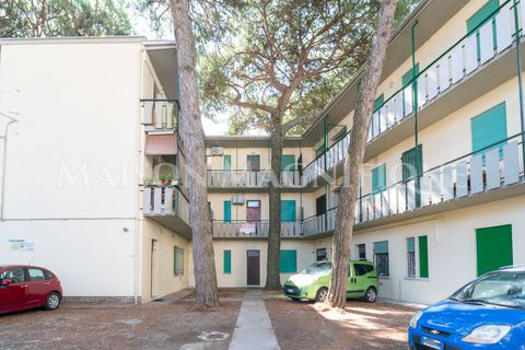 Lejlighed i Comacchio, Ferrara, Comacchio - € 135.000 | Ref: 07AP093 - foto 17