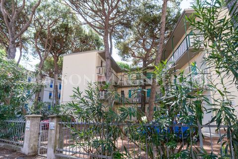 Lejlighed i Comacchio, Ferrara, Comacchio - € 135.000 | Ref: 07AP093 - foto 18