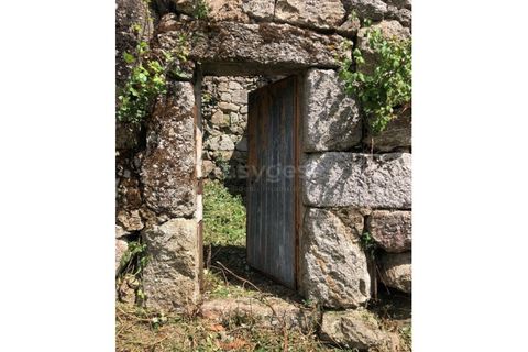 Farm i Linhares, Braganca, Linhares - € 90.000 | Ref: GD97750FM - foto 3