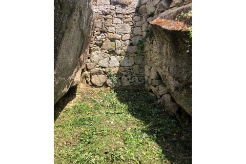 Farm i Linhares, Braganca, Linhares - € 90.000 | Ref: GD97750FM - foto 4