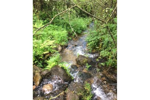 Farm i Linhares, Braganca, Linhares - € 90.000 | Ref: GD97750FM - foto 7