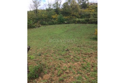 Farm i Linhares, Braganca, Linhares - € 90.000 | Ref: GD97750FM - foto 9