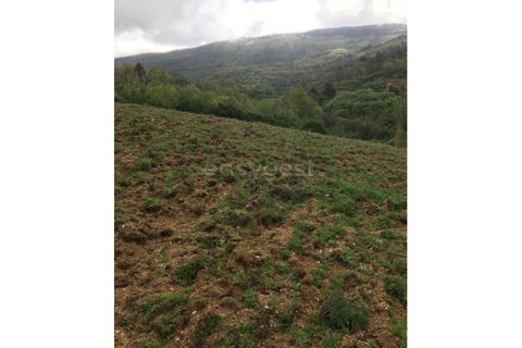 Farm i Linhares, Braganca, Linhares - € 90.000 | Ref: GD97750FM - foto 10