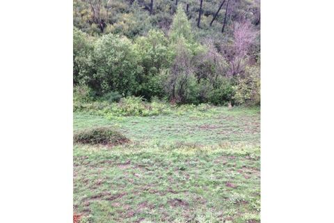 Farm i Linhares, Braganca, Linhares - € 90.000 | Ref: GD97750FM - foto 11