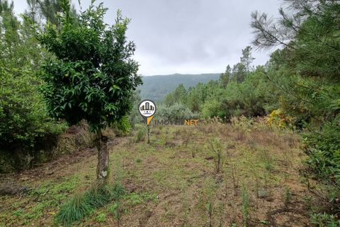 Villa i Castelo Branco, Castelo Branco, Castelo Branco - € 215.000 | Ref: 2550 - foto 16