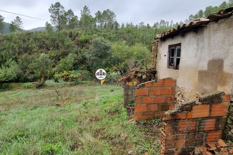Villa i Castelo Branco, Castelo Branco, Castelo Branco - € 215.000 | Ref: 2550 - foto 23