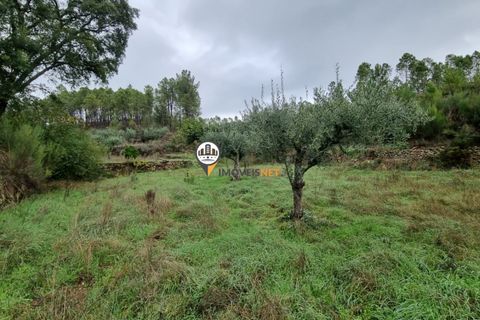 Villa i Castelo Branco, Castelo Branco, Castelo Branco - € 215.000 | Ref: 2550 - foto 24
