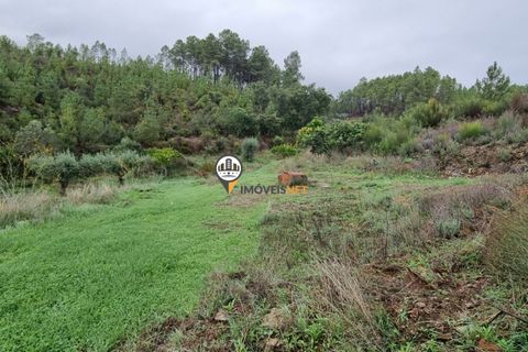 Villa i Castelo Branco, Castelo Branco, Castelo Branco - € 215.000 | Ref: 2550 - foto 39