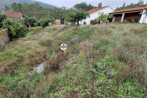 Villa i Castelo Branco, Castelo Branco, Castelo Branco - € 215.000 | Ref: 2550 - foto 47