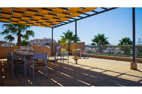 Erhvervsejendom i Alvor, Faro, Alvor - € 1.300.000 | Ref: FHCC4002 - foto 3