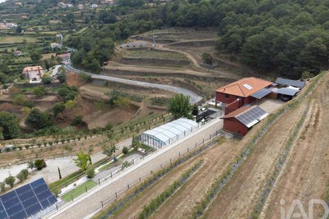 Byhus i Resende, Viseu, Resende - € 950.000 | Ref: 124655 - foto 28