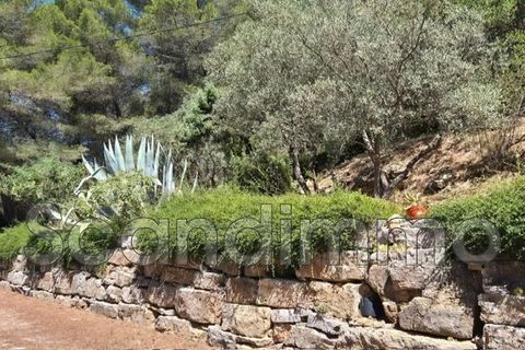 Villa i Cotignac, Var, Cotignac - € 695.000 | Ref: 666V6765M - foto 5
