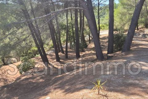 Villa i Cotignac, Var, Cotignac - € 695.000 | Ref: 666V6765M - foto 19