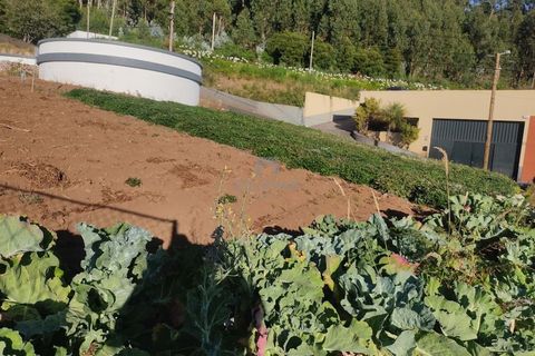 Helårsgrund i Calheta, Madeira, Calheta - € 50.000 | Ref: 26A/2025 - foto 2
