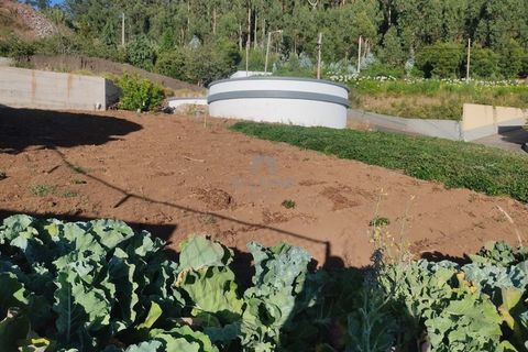 Helårsgrund i Calheta, Madeira, Calheta - € 50.000 | Ref: 26A/2025 - foto 4