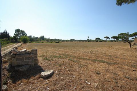 Villa a Alezio, Lecce, Alezio - € 188.000 | Ref: PAV-198FINO - foto 4