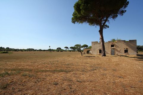 Villa a Alezio, Lecce, Alezio - € 188.000 | Ref: PAV-198FINO - foto 5