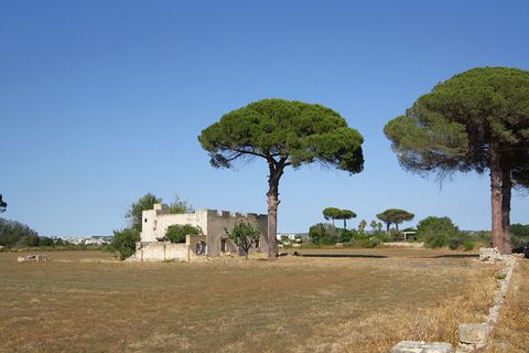 Villa a Alezio, Lecce, Alezio - € 188.000 | Ref: PAV-198FINO - foto 8