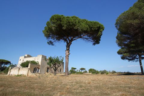 Villa a Alezio, Lecce, Alezio - € 188.000 | Ref: PAV-198FINO - foto 17