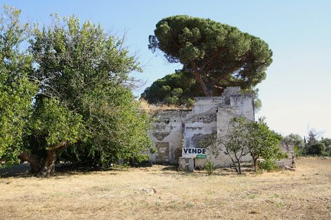 Villa a Alezio, Lecce, Alezio - € 188.000 | Ref: PAV-198FINO - foto 21