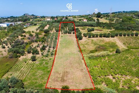 Terra a Lanuvio, Rome, Lanuvio - € 65.000 | Ref: CBI143-2042-8210 - foto 2