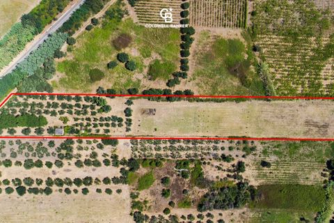 Terra a Lanuvio, Rome, Lanuvio - € 65.000 | Ref: CBI143-2042-8210 - foto 3