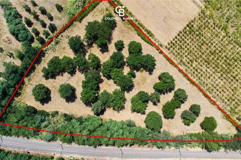 Terra a Lanuvio, Rome, Lanuvio - € 65.000 | Ref: CBI143-2042-8210 - foto 4