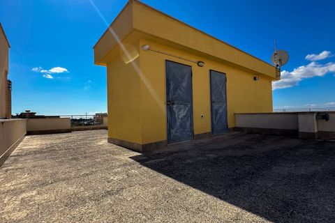 Villa a Manfredonia, Foggia, Manfredonia - € 300.000 | Ref: VIA CAROLINA GATTA - foto 30