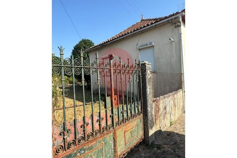 Farm i Valenca, Viana do Castelo, Valenca - € 220.000 | Ref: FIN_0283 - foto 1