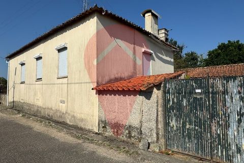 Farm i Valenca, Viana do Castelo, Valenca - € 220.000 | Ref: FIN_0283 - foto 2