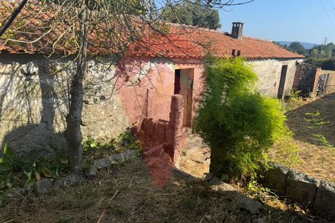 Farm i Valenca, Viana do Castelo, Valenca - € 220.000 | Ref: FIN_0283 - foto 3